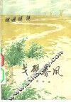 戈壁春风 封面