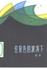 在黛色的波涛下 电子书封面