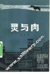 灵与肉 封面
