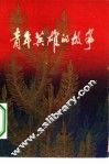 青年英雄的故事 封面