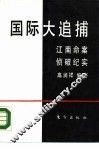 国际大追捕  江南命案侦破纪实 封面