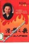 涅槃之歌  记陆定一夫人严慰冰 封面