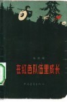 在红色队伍里成长 封面