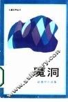 魔洞  赵惠中小说集 封面
