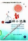 崔坪小说集 封面