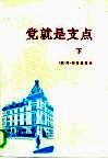 党就是支点  下 封面