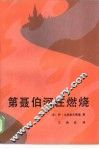 第聂伯河在燃烧 封面