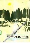 不平凡的一年 电子书封面