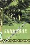 在保加利亚农村里 封面