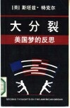 大分裂  美国梦的反思 封面
