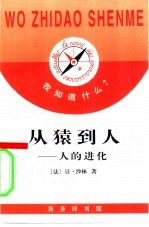 从猿到人  人的进化史