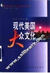 现代美国大众文化 封面