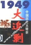 大追剿 封面