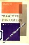 “民工潮”的背后 中国农民的就业问题 ZHONG GUO NONG MIN DE JIU YE WEN TI 电子书封面
