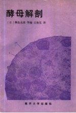 酵母解剖 封面