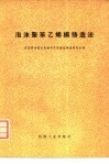 泡沫聚乙烯模铸造法 封面