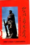 战士指看南粤  中国人民解放军第四野战军南下工作团团员在广东 封面