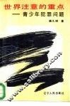世界注意的重点  青少年犯罪问题 封面