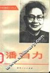 潘自力 电子书封面
