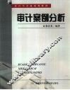 审计案例分析 封面