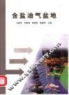 含盐油气盆地 封面