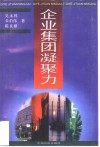 企业集团凝聚力 封面