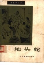地头蛇 封面