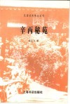 辛丙秘苑 电子书封面