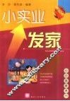 小实业发家 封面