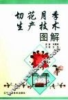 切花月季生产技术图解 电子书封面