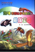 趣味看图认字长见识  爬跳王国 封面