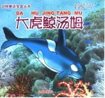 大虎鲸汤姆 封面