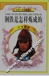 钢铁是怎样炼成的 封面
