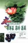 西洋菜  马蹄  莲藕 封面