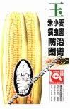 玉米小麦病虫害防治图谱 封面