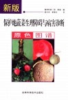 新版保护地蔬菜生理障碍与病害诊断原色图谱 封面