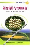 银杏栽培与管理图说 封面