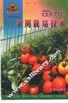 番茄实用栽培技术 封面