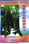 蔬菜无土栽培新技术 封面