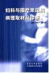 妇科与围产常见病病理取材及诊断 封面