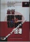 血管超声诊断图谱 封面