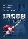 胸部疾病电视胸腔镜诊断治疗学 封面