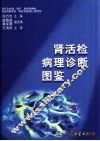 肾活检病理诊断图鉴 封面