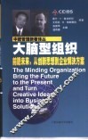 大脑型组织  前瞻未来，从创新思想到企业解决方案 封面