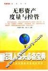 无形资产度量与控管 封面