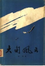 大甸风云 封面