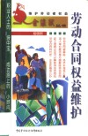 劳动合同权益维护 封面