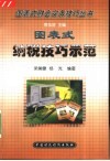 图表式纳税技巧示范 封面
