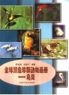 全球濒危珍稀动物画册  鸟类 封面