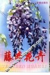 藤本花卉 封面